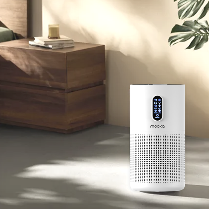 The Hidden Dangers of Indoor Air Pollution: What You Can't See Can Hurt You