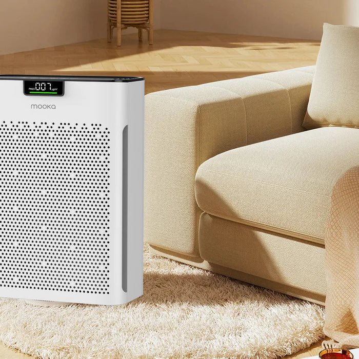 Air Purifiers vs. Opening Windows: Which Is Really Better for Your Health?