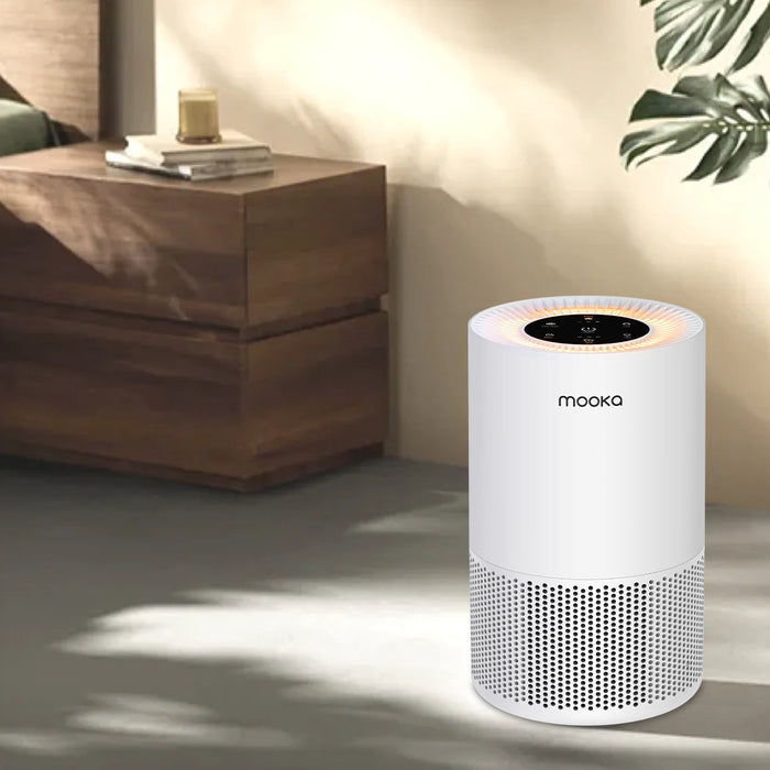 The Hidden Dangers of Indoor Air Pollution: What You Can't See Can Hurt You