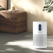 Clean Air Facility Program