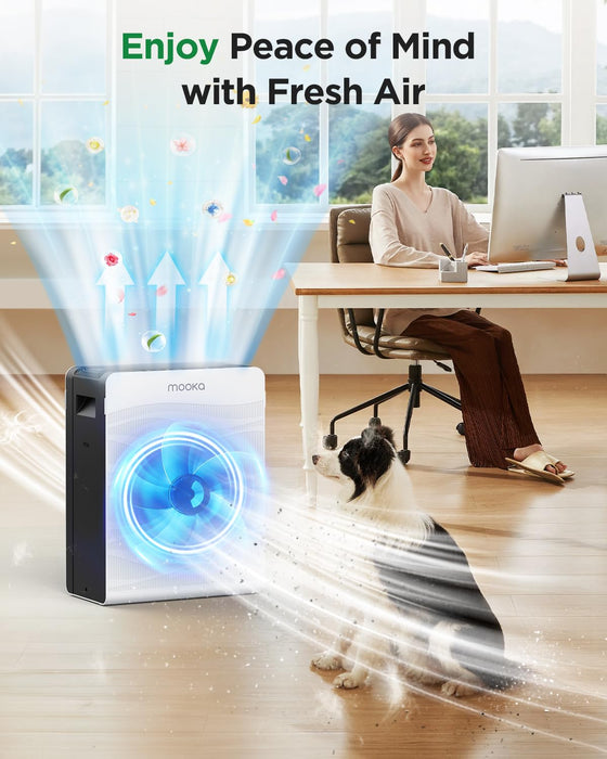 Filter for MOOKA C300 Air Purifier